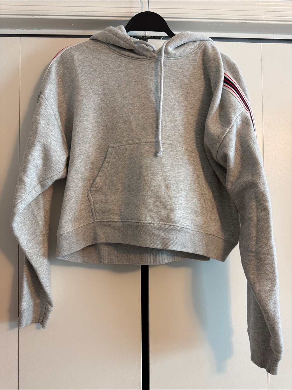 Tna Gray Crop Hoodie with Stripe Detail - Women's Top